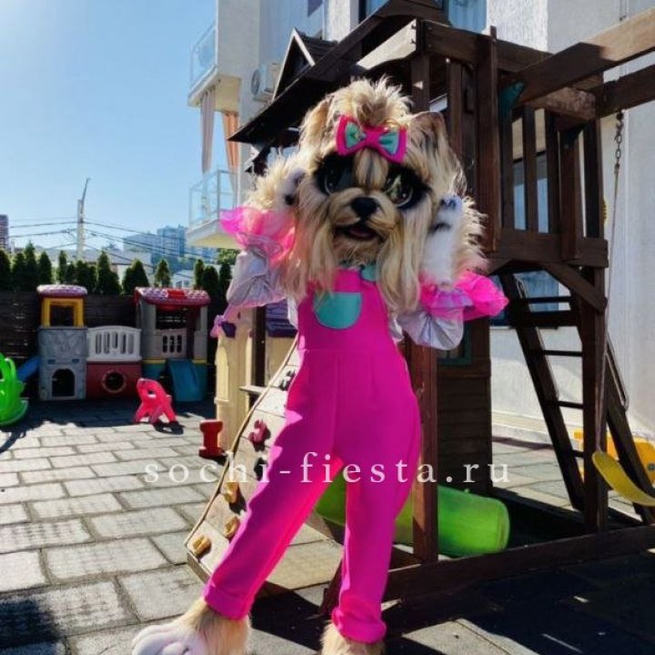 Аниматор Гламурная Собака в Кургане