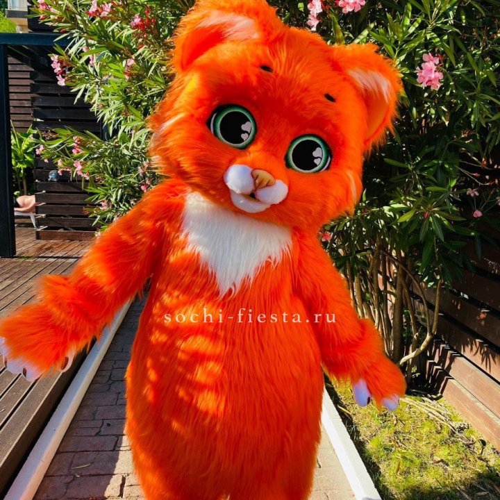 Аниматор Котик в Кургане