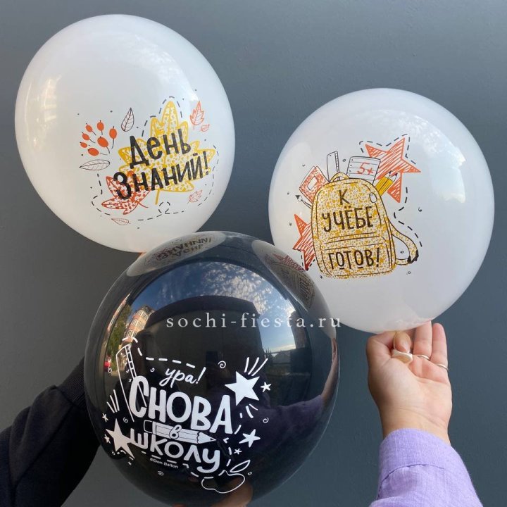 Воздушный шар к 1 сентября в Кургане