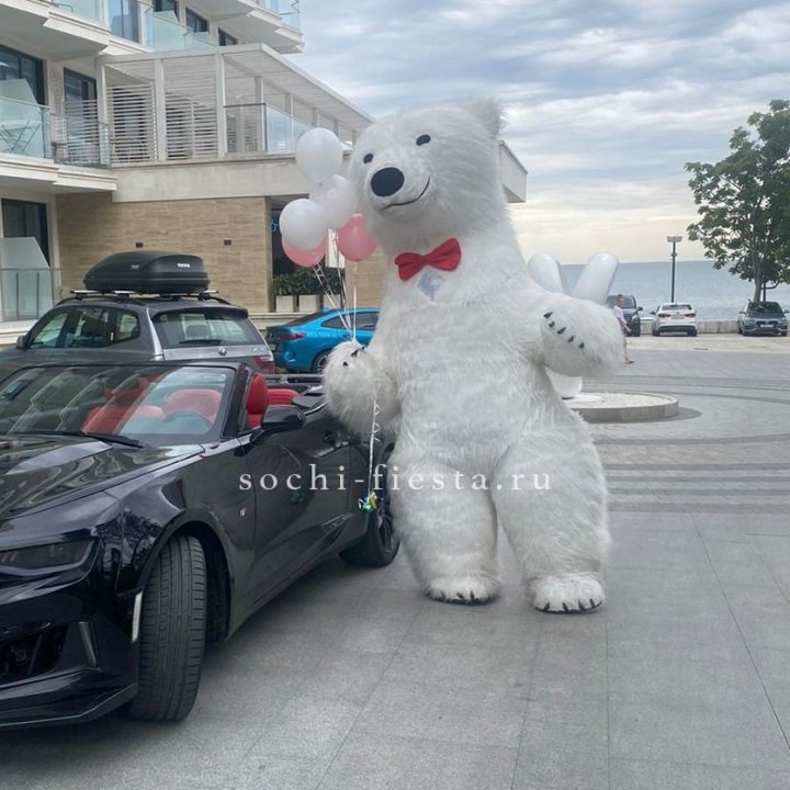 Аниматор Белый Медведь в Кургане