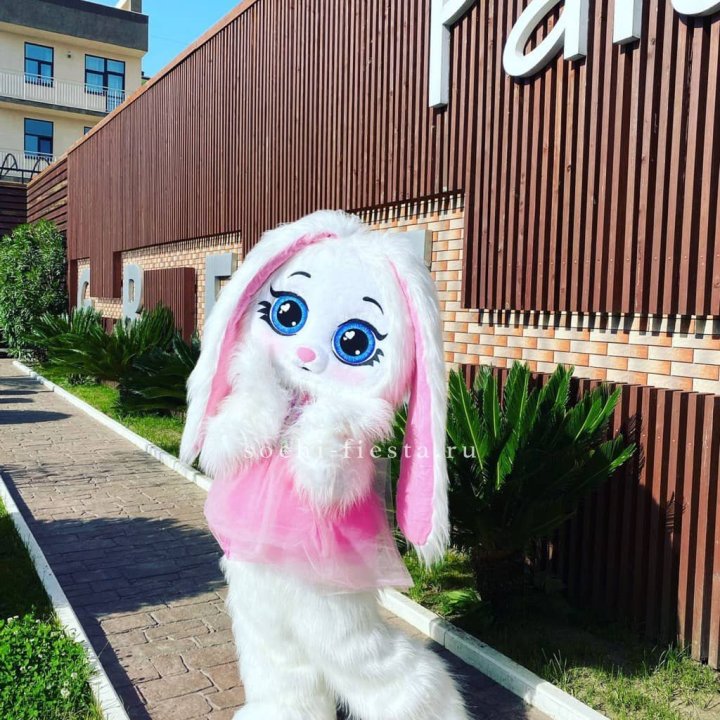 Аниматор Зайка в Кургане