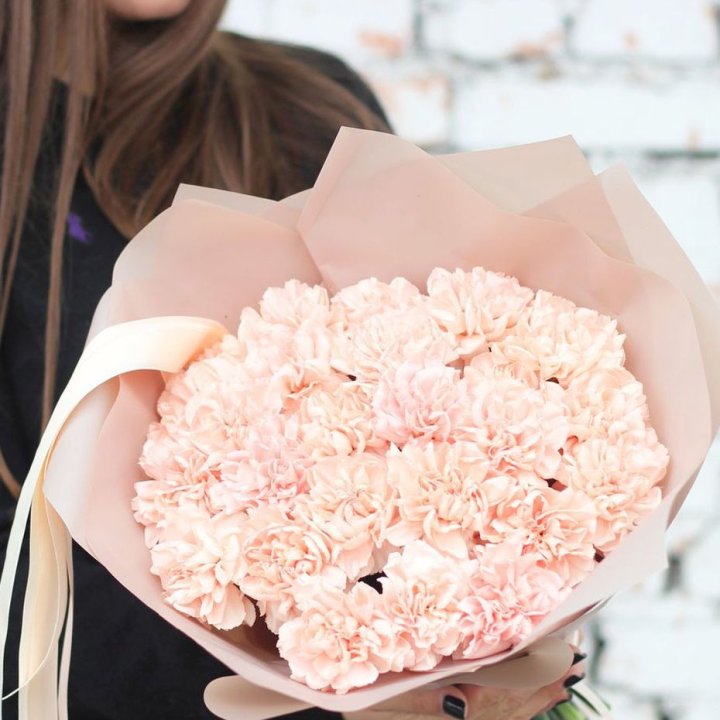 Диантусы №2 в Кургане