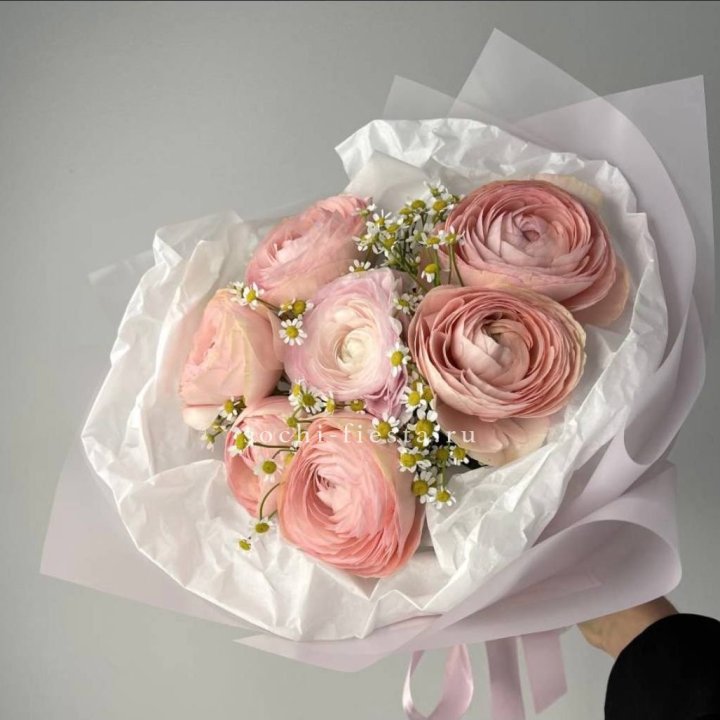 Ранункулюсы с ромашками в Кургане