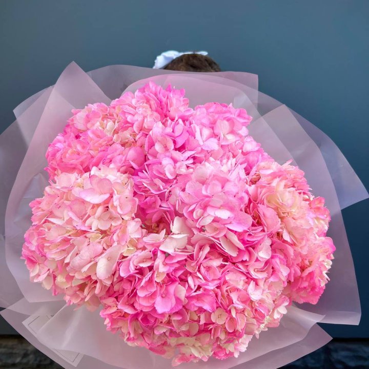 9 ярко розовых гортензий в Кургане