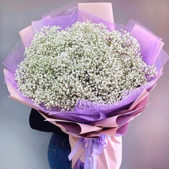 Облако белых гипсофил в Кургане