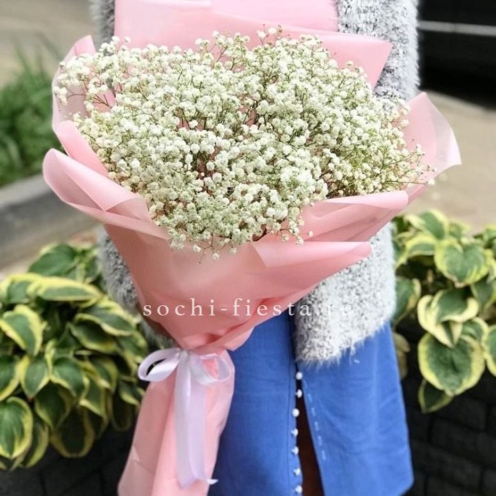 Белоснежные гипсофилы в Кургане