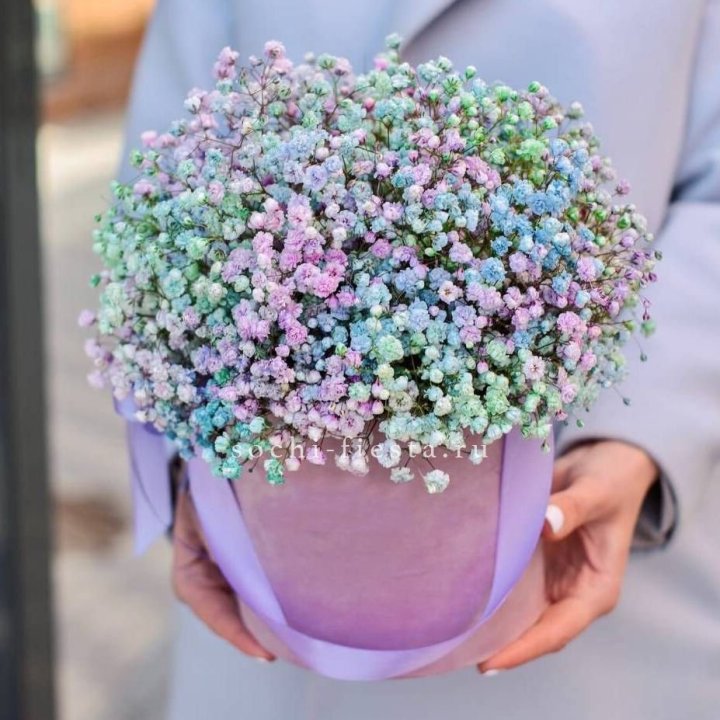 Гипсофилы в шляпной коробке "Кандилайт" в Кургане