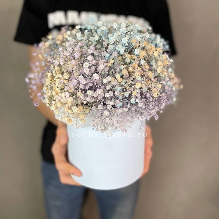 9 Радужных гипсофил в шляпной коробке в Кургане