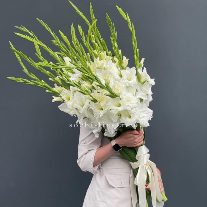 19 белых гладиолусов под ленту в Кургане