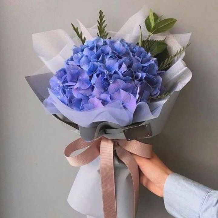 Гортензия голубая в Кургане