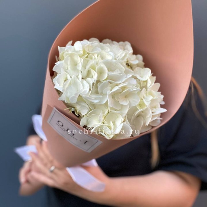 Гортензия в конверте в Кургане