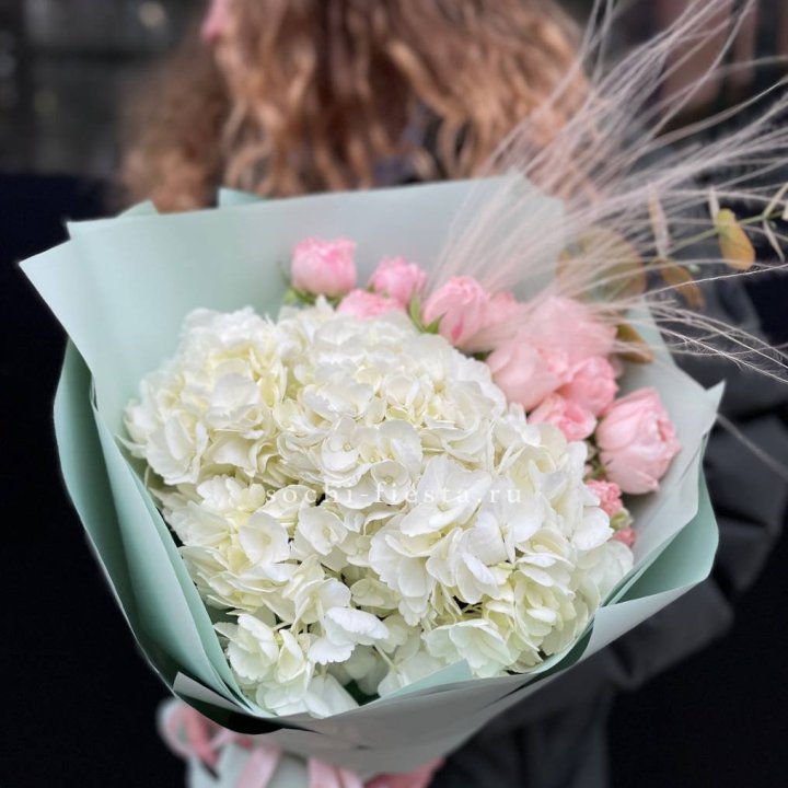 Гортензия "Жасмин" в Кургане