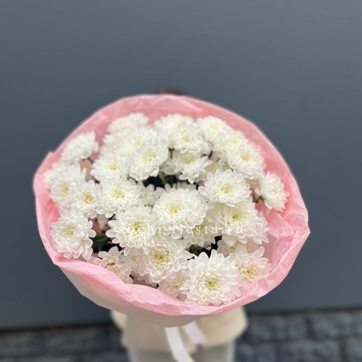  5 хризантем  в Кургане