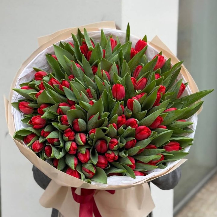 101 красный тюльпан в Кургане