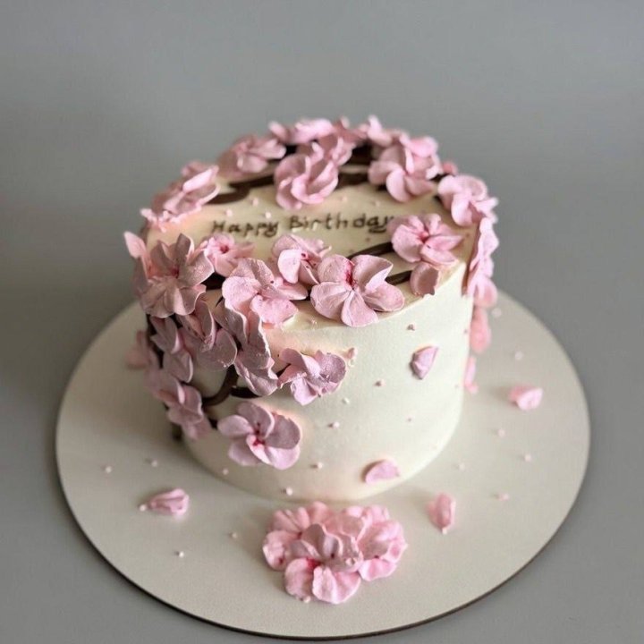 Бенто-торт "С днём рождения..." в Кургане