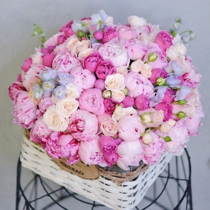 Композиция "Черри" в Кургане