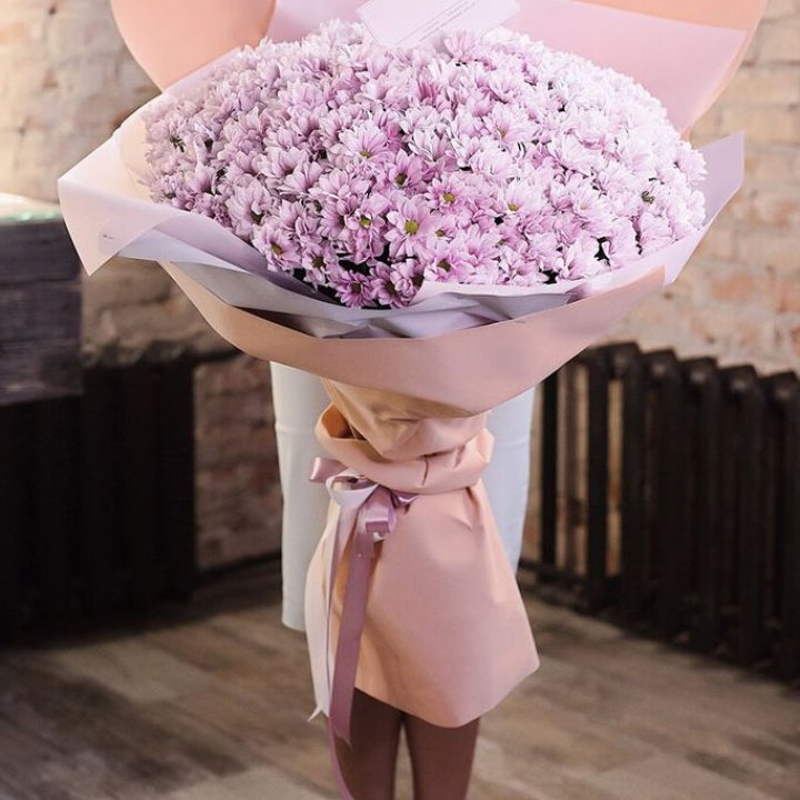 Облако хризантем №1 в Кургане