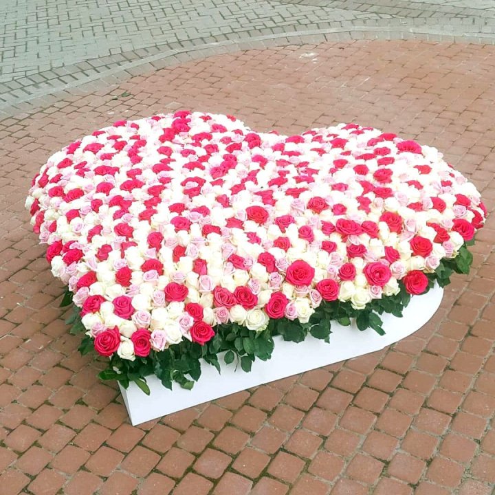 555 роза  в Кургане