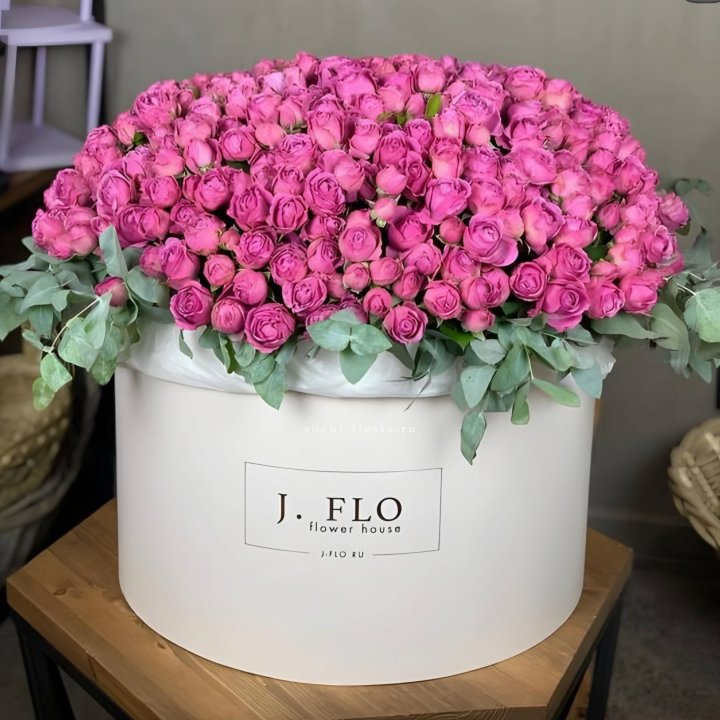 Цилиндр с Мисти Бабблс  в Кургане