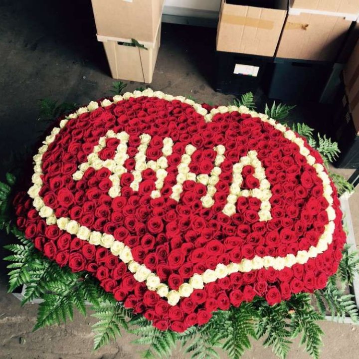 555 роз с именем в Кургане