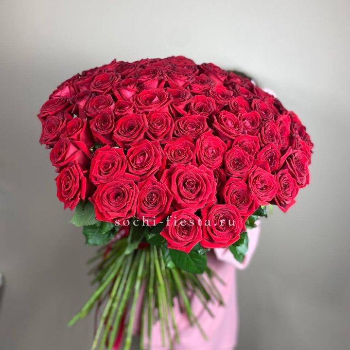 101  голландская роза  в Кургане