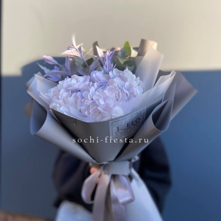 Гортензия "Виолета" в Кургане