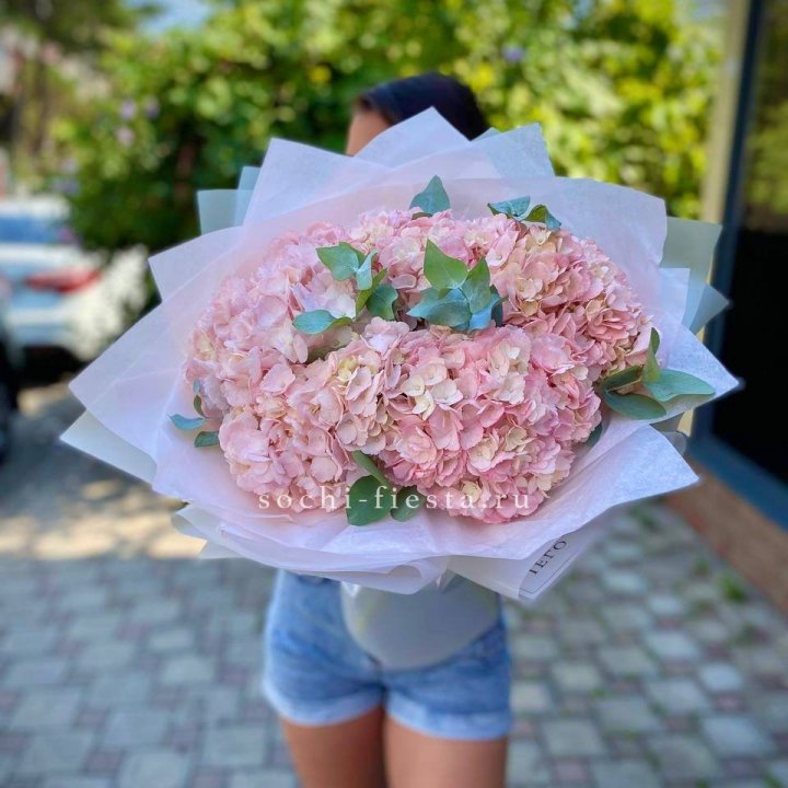 5 розовых гортензий  в Кургане