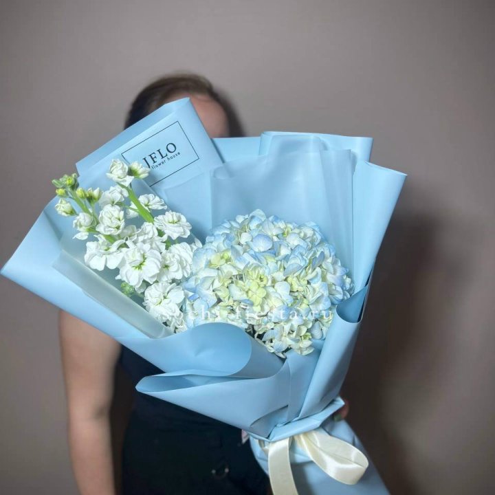 Гортензия голубая с маттиолой в Кургане