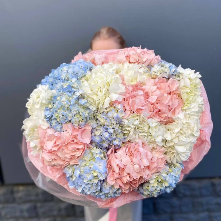 19 гортензий микс в Кургане