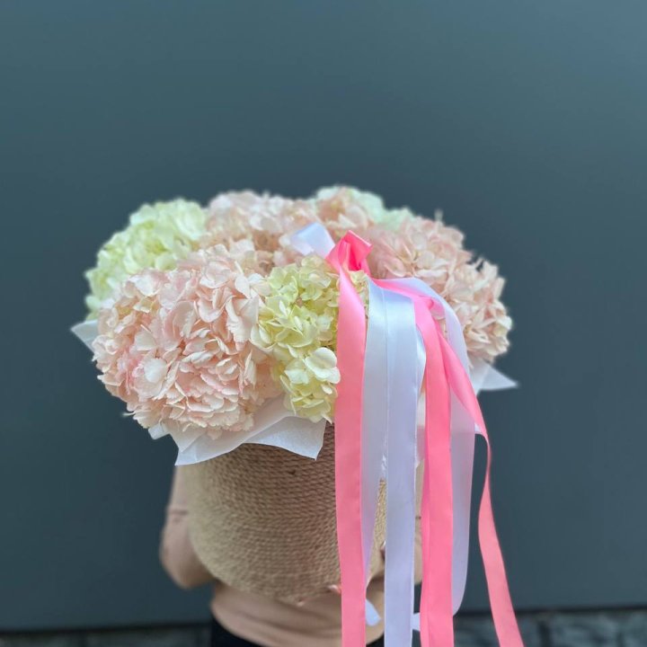 7 гортензий в кашпо в Кургане