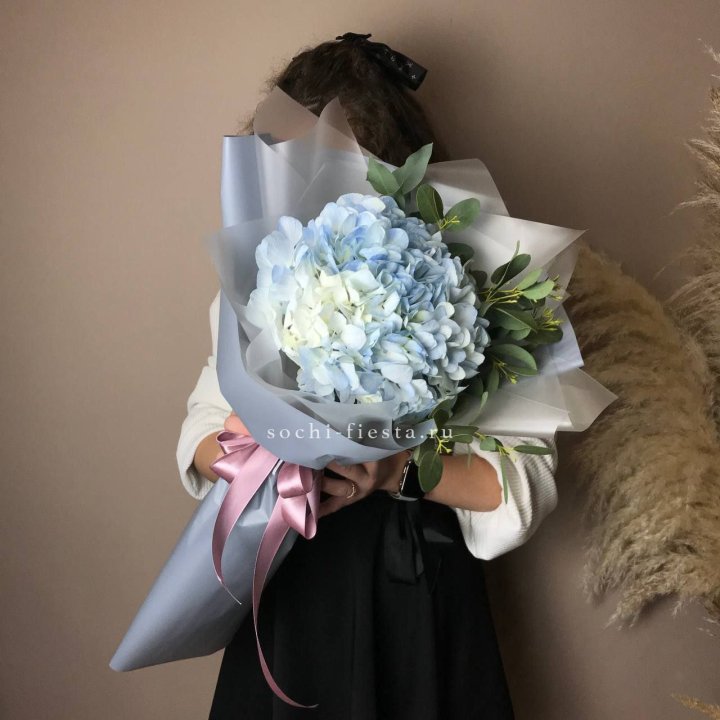 Гортензия Уно в Кургане