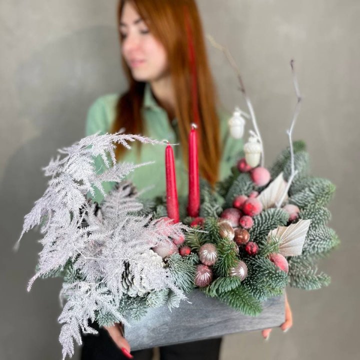 Бокс красный с нобилисом в Кургане