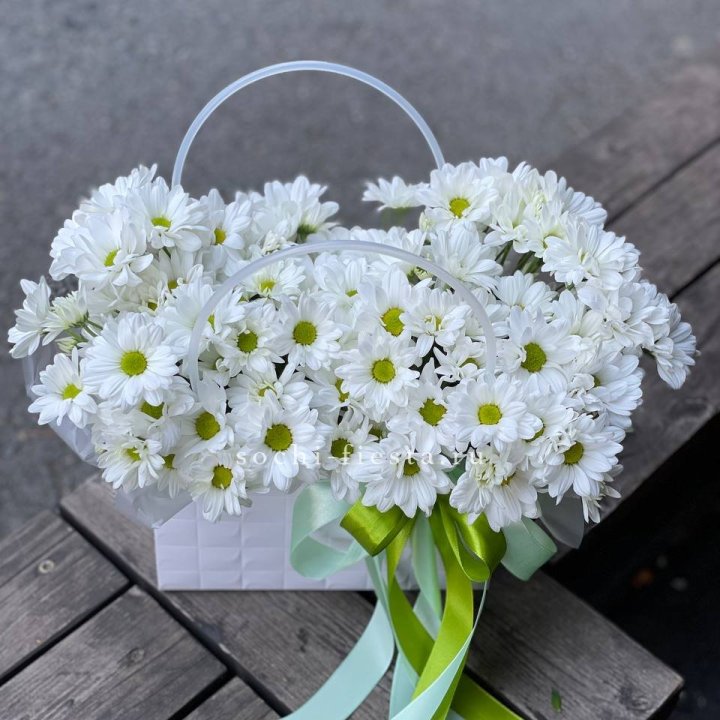 Сумка с хризантемами ромашками в Кургане