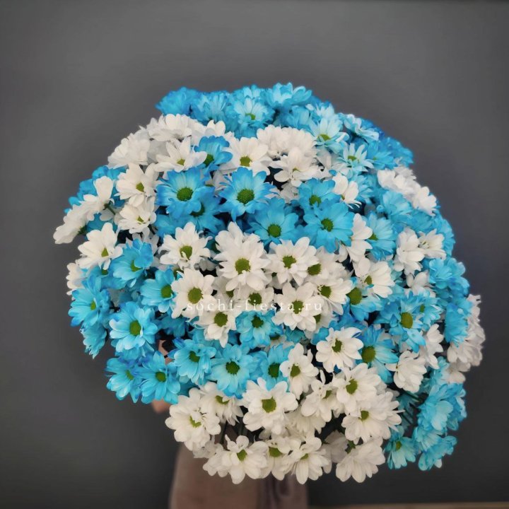  Букет хризантем микс в Кургане