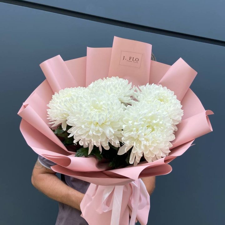 Профитроли №2 в Кургане