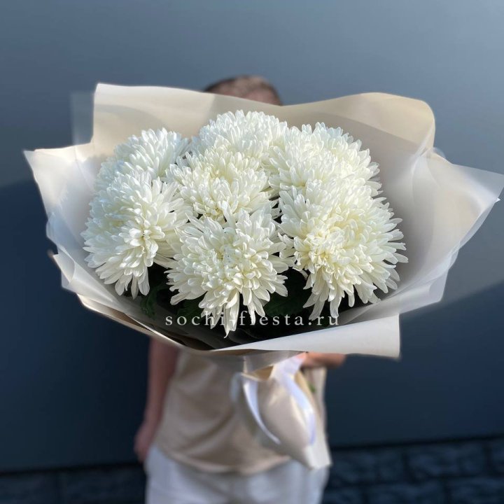 Профитроли в Кургане