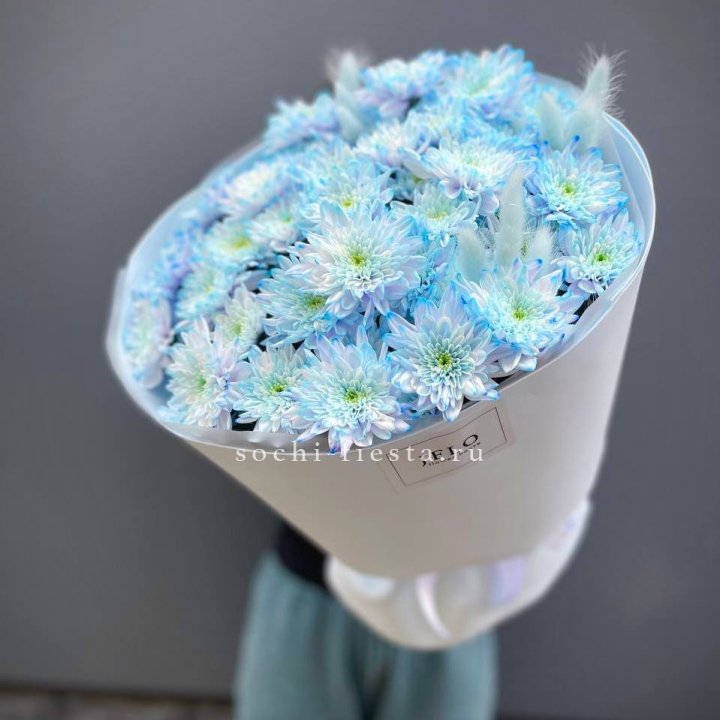  Букет нежно-голубых хризантем  в Кургане