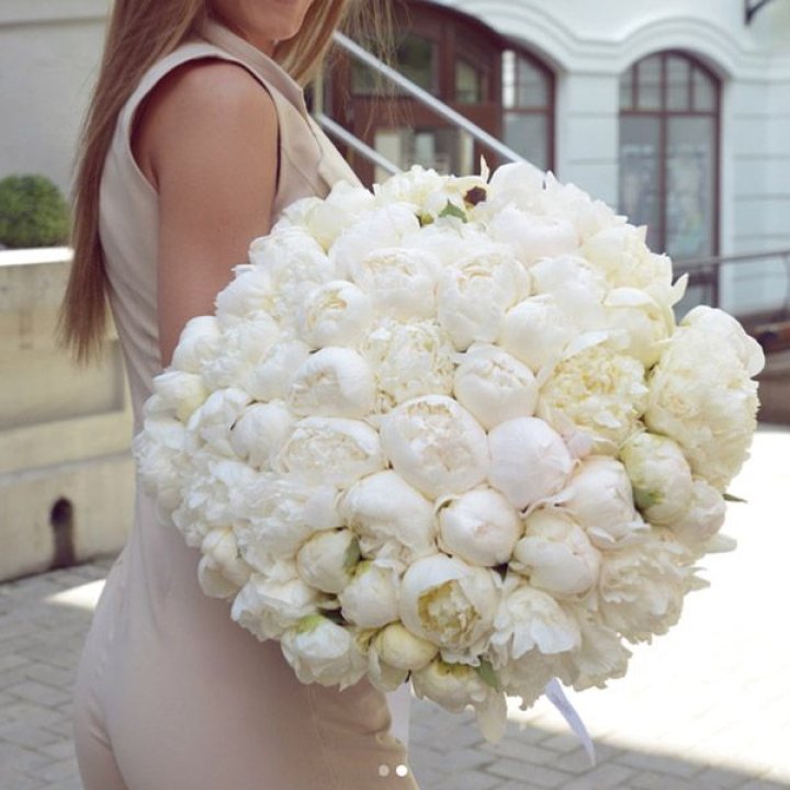 51 белый пион в Кургане