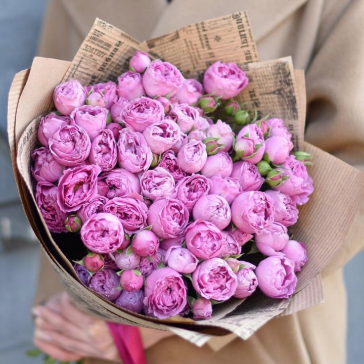 Роза Мисти Баблс в Кургане