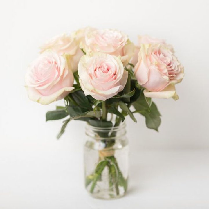 7 кремовых роз в Кургане