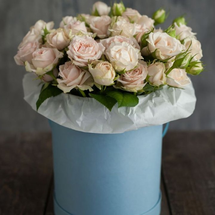 Бокс с бомбастиком в Кургане