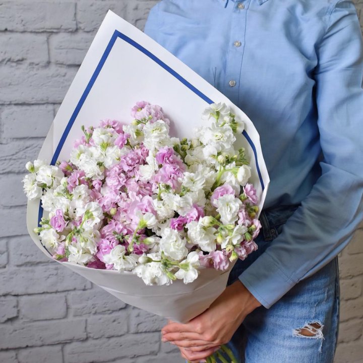 Маттиола в Кургане