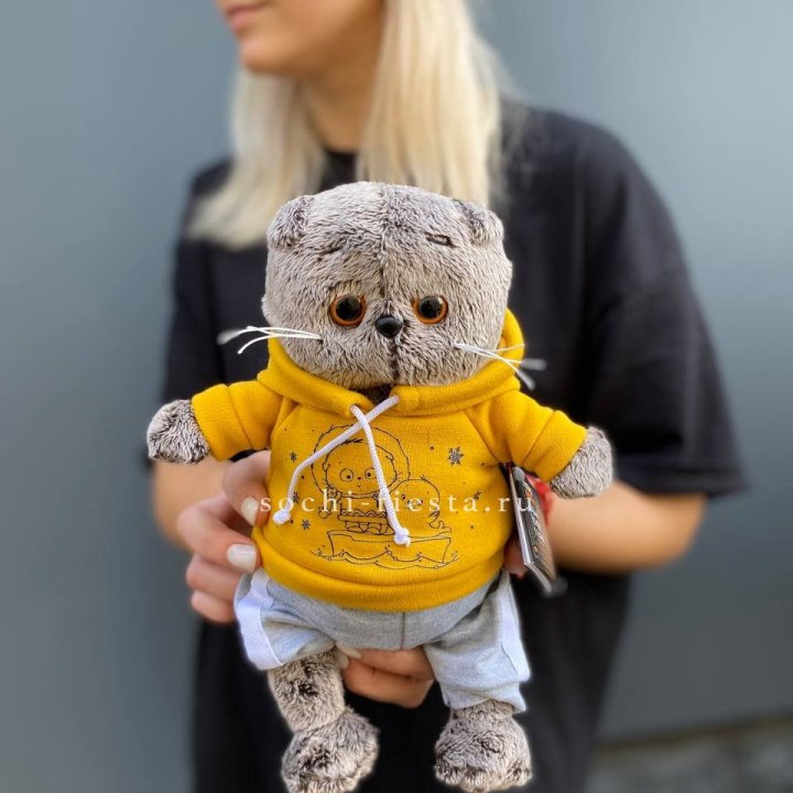 Кот Басик в худи в Кургане