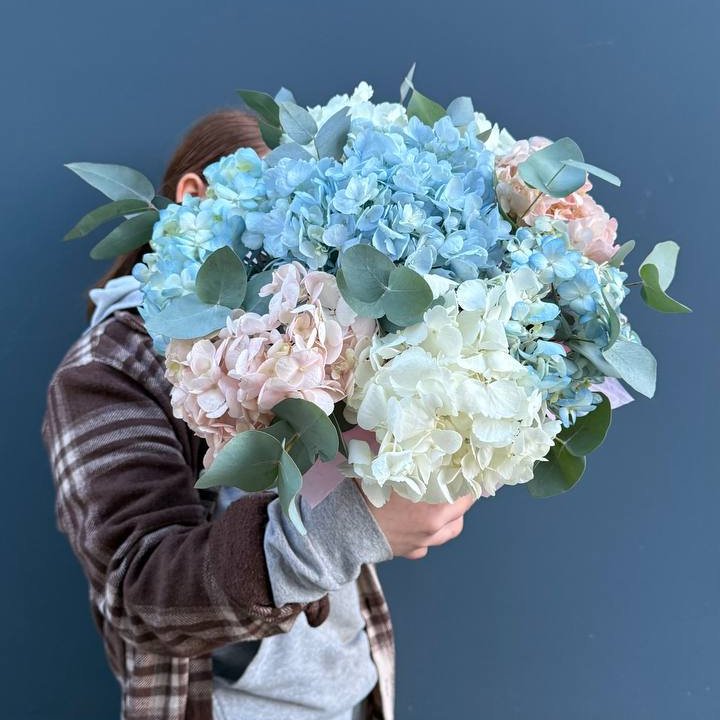 Гортензии в коробочке в Кургане