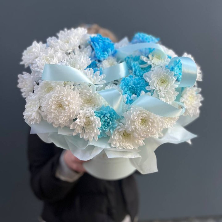 Хризнтемы в боксе в Кургане