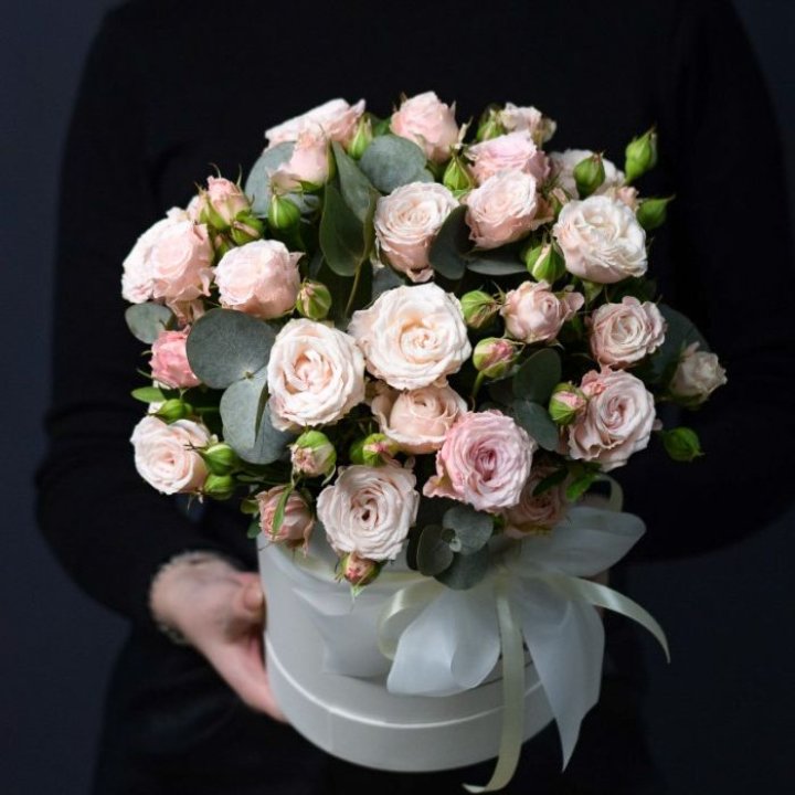 Бомбастик бокс №2 в Кургане