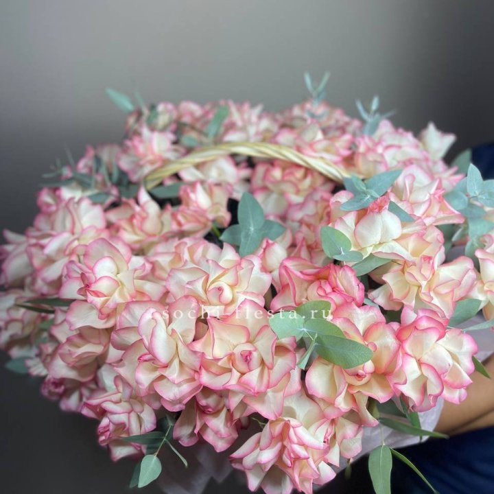 51 джумилия  в корзине   в Кургане