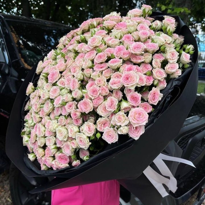 101 кустовая роза "Твистер" в Кургане