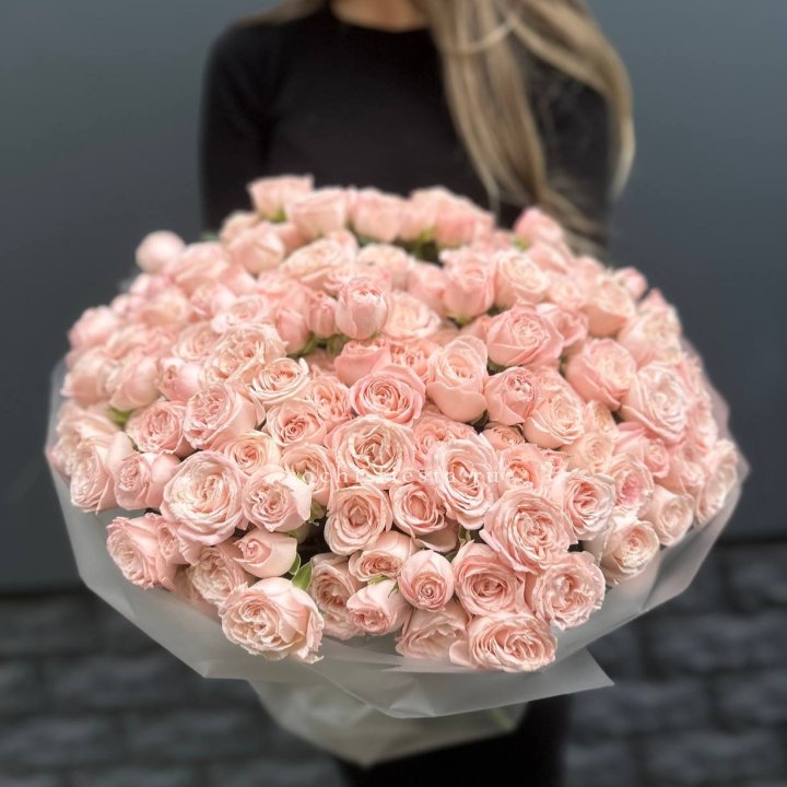 51 кустовая роза Бомбастик в Кургане