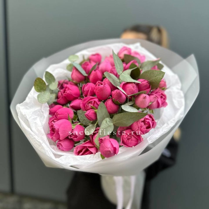 17 Мисти бабблс в Кургане